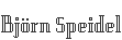 Björn Speidel